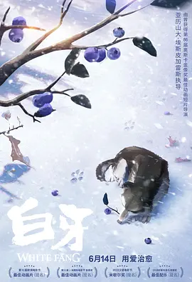 小明永久免费看看